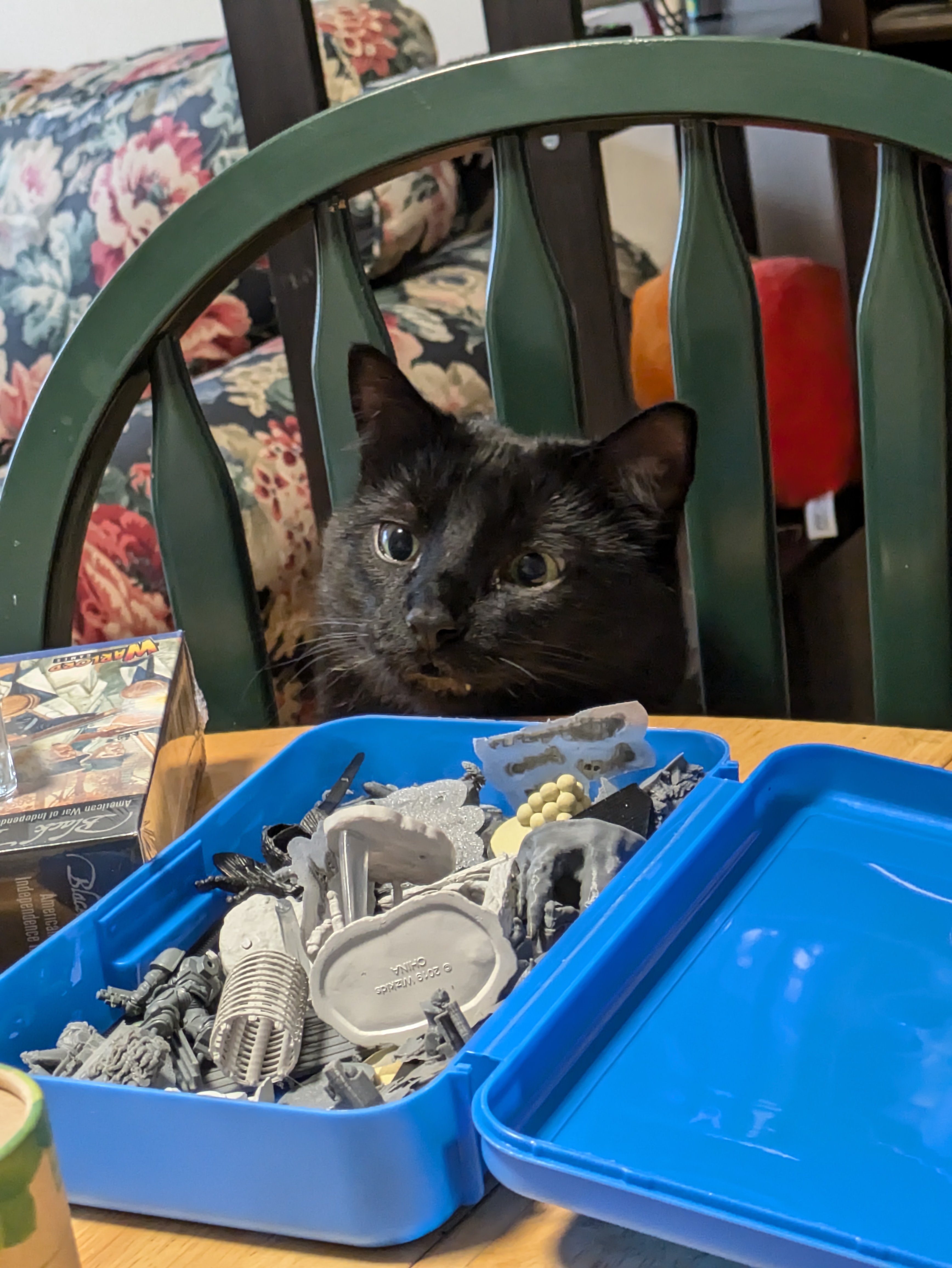 A black cat looks over a dining table covered in small plastic pieces, looking for something to eat
